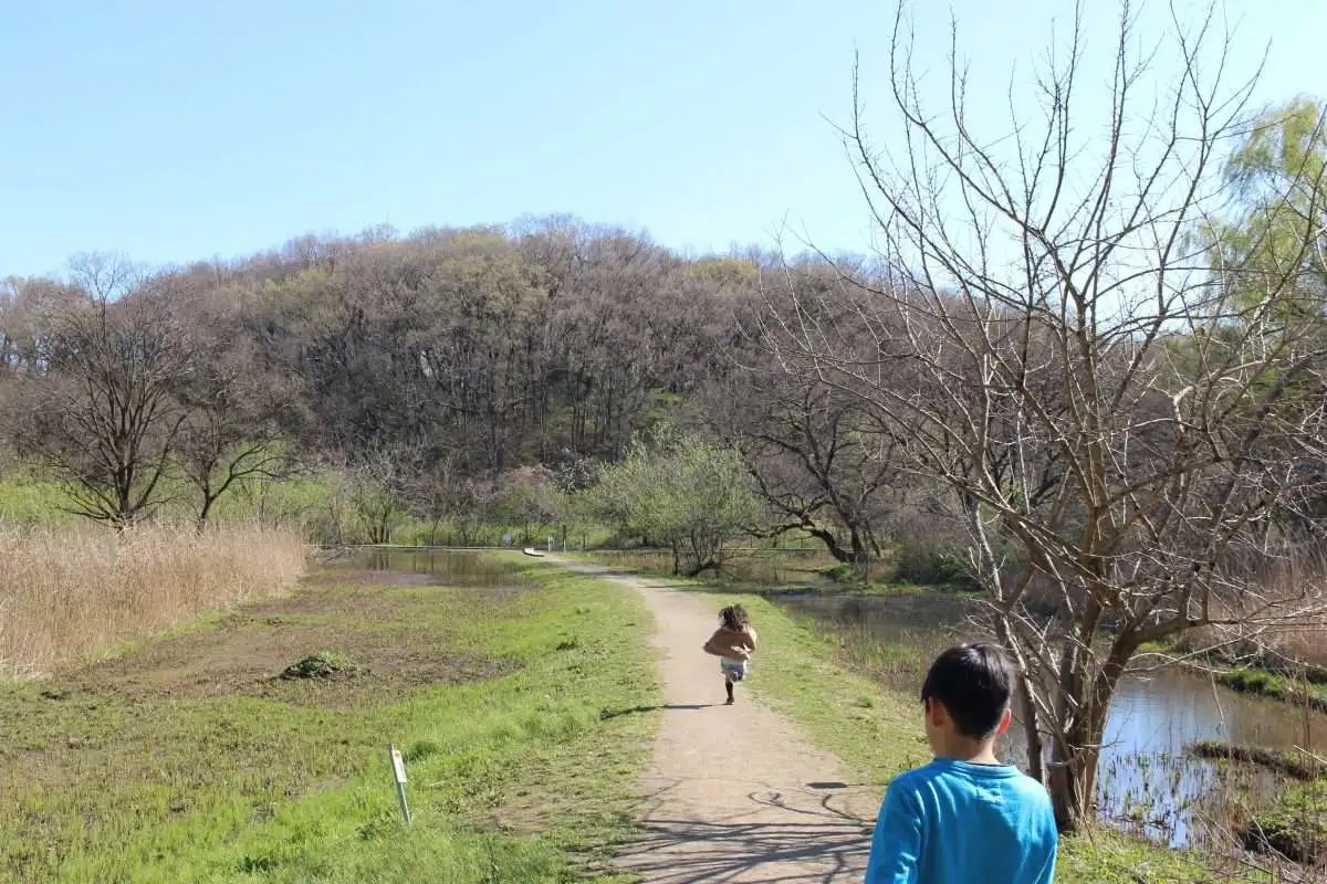 🏞️ 기타모토 자연관찰공원 (키타모토시젠칸사츠코엔) 이미지 5